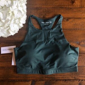 TechSweat Crop Top in Evergreen